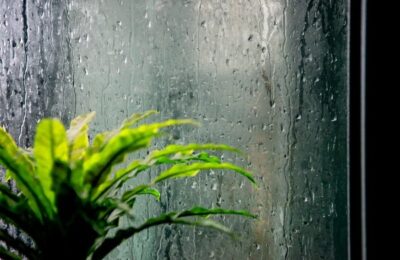 梅雨でも快適な家づくり｜結露や湿気を防ぐポイントとは？